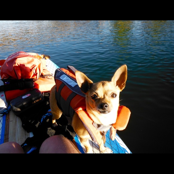 Meet your Posher, Juli - Picture 8 of 8